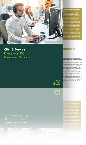 Customer Services